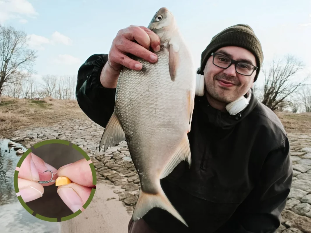 Method Feedern mit Hartmaisköpfe am Bayonet