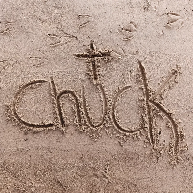 Chuck Norris in den Elbsand geschrieben