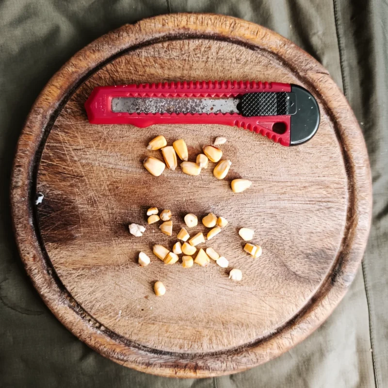 mit dem Messer geschnittener Hartmais und Hartmaisköpfe
