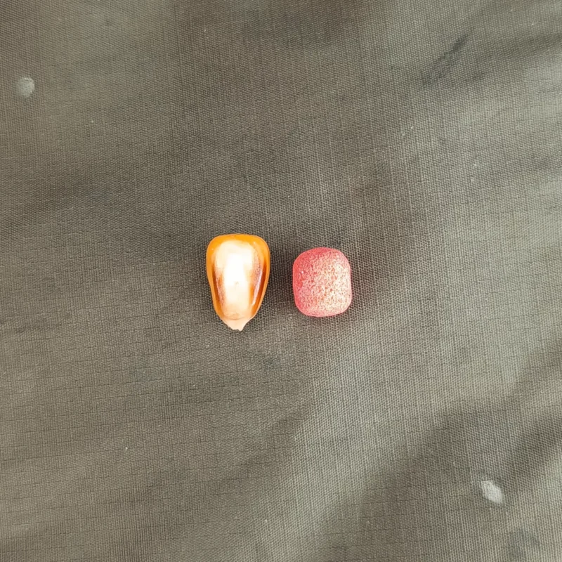 Hartmais und 10mm Wafter im Größenvergleich