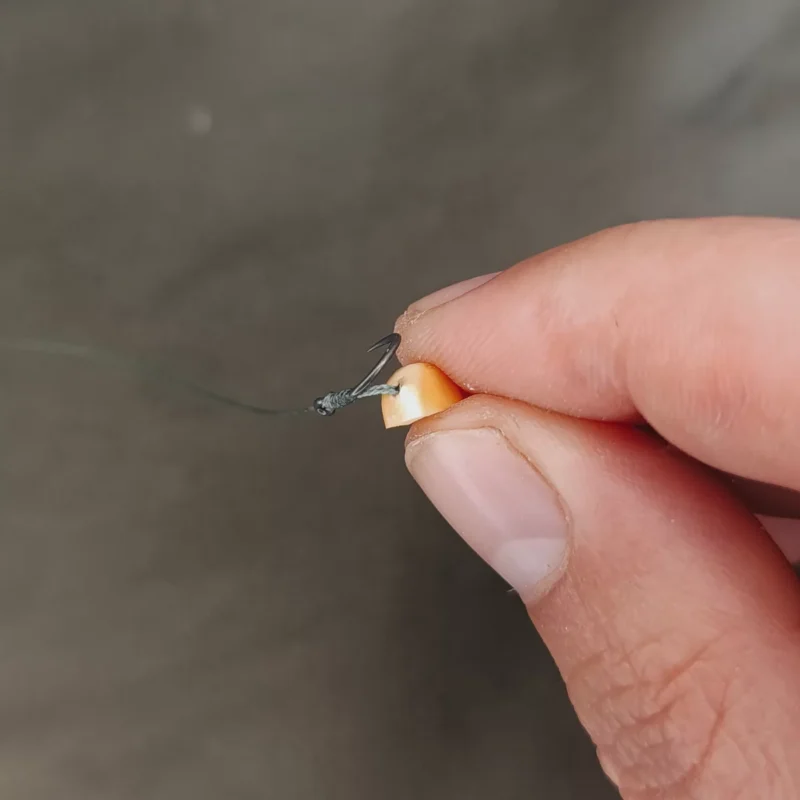 Hartmaiskopf an der Bayonet Haarmontage