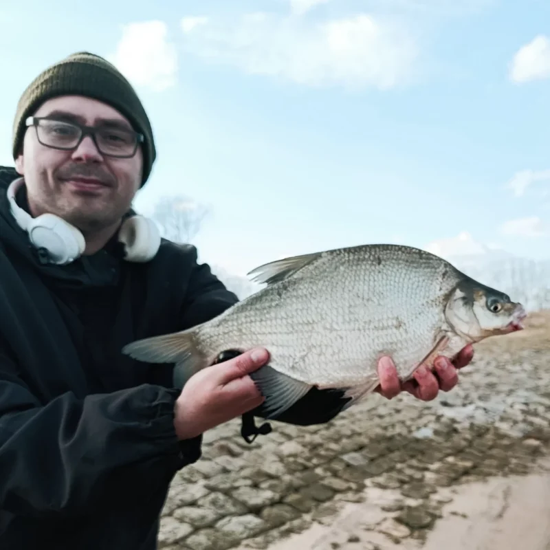 mit Hartmais gefangene Brasse beim Method Feedern im März an der Elbe