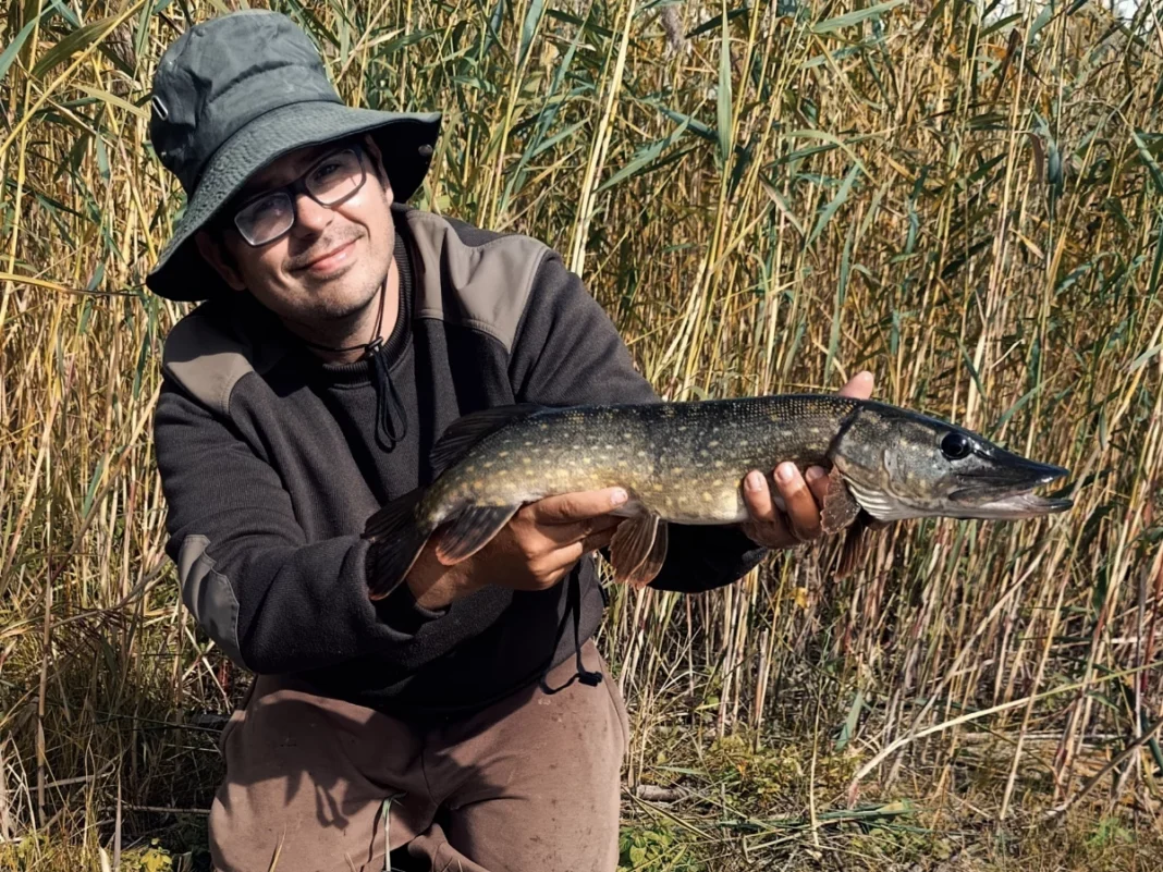 Hecht im Oktober mit Pose am kleinen See