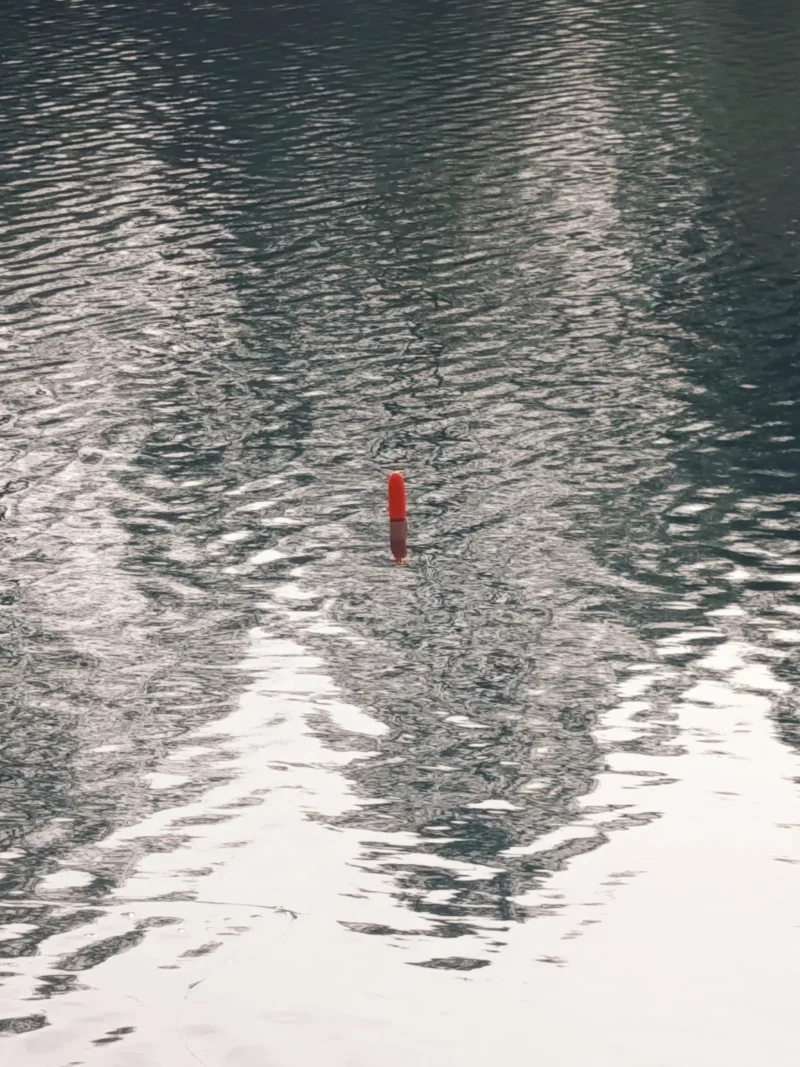 Pencil treibt über den kleinen See