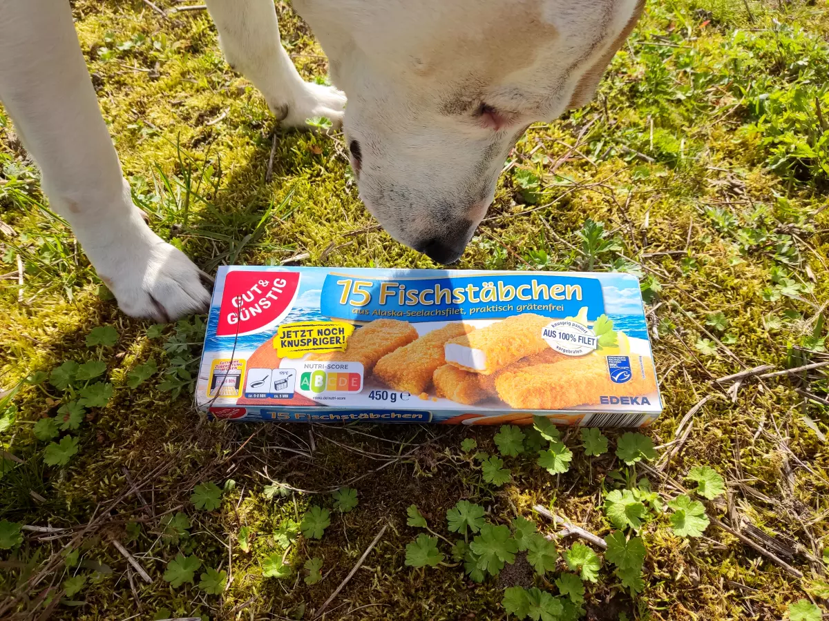 Hund will Fischstäbchen fressen