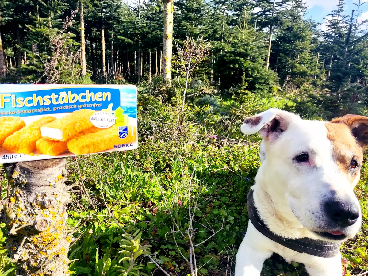 Hund mit Fischstäbchen