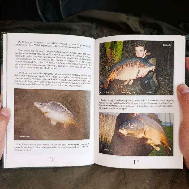 Karpfen angeln von Markus Pelzer und Wolf-Bernd Wiemer Karpfenarten im Buch erklärt
