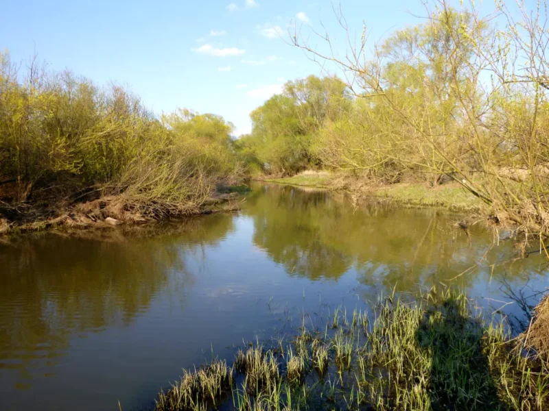 Kleiner Fluss in wilder Landschaft