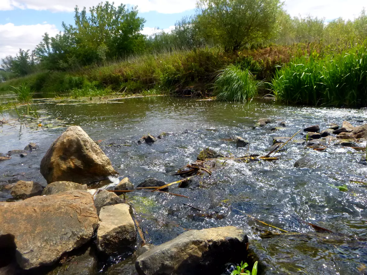 kleiner schmaler Fluss mit abfallendem Ufer