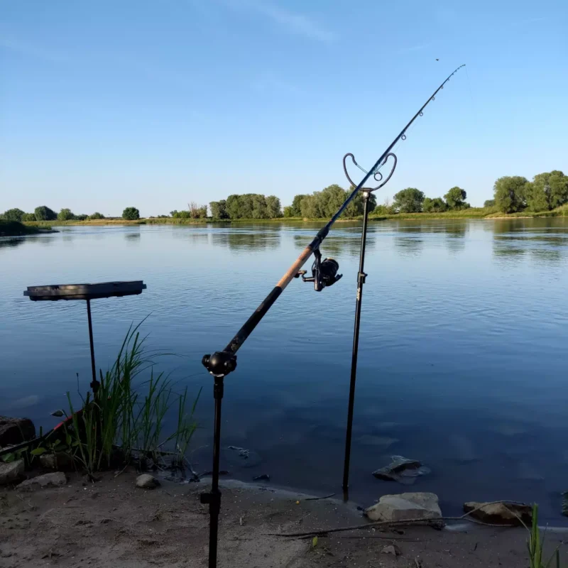 Feedern an der Elbe beim Korum Angle Tilt Butt Cup Test