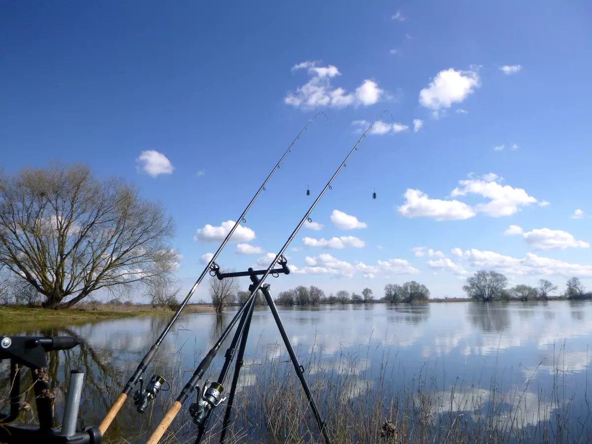 Korum Compact River Tripod beim Angeln