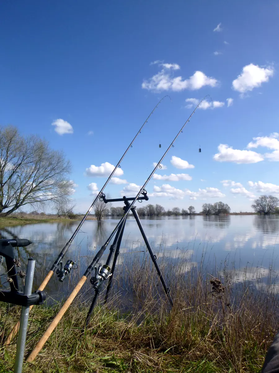 Korum Compact River Tripod aufgebaut an der Elbe