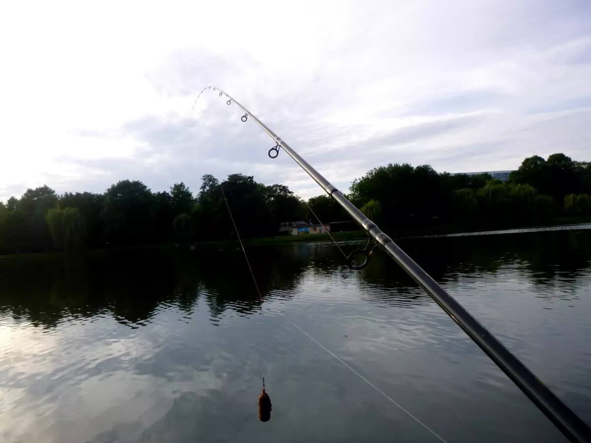 Leichte Feederrute am See