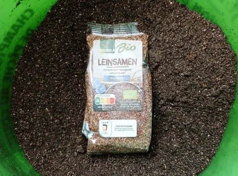 Angeln mit Leinsamen im Futter