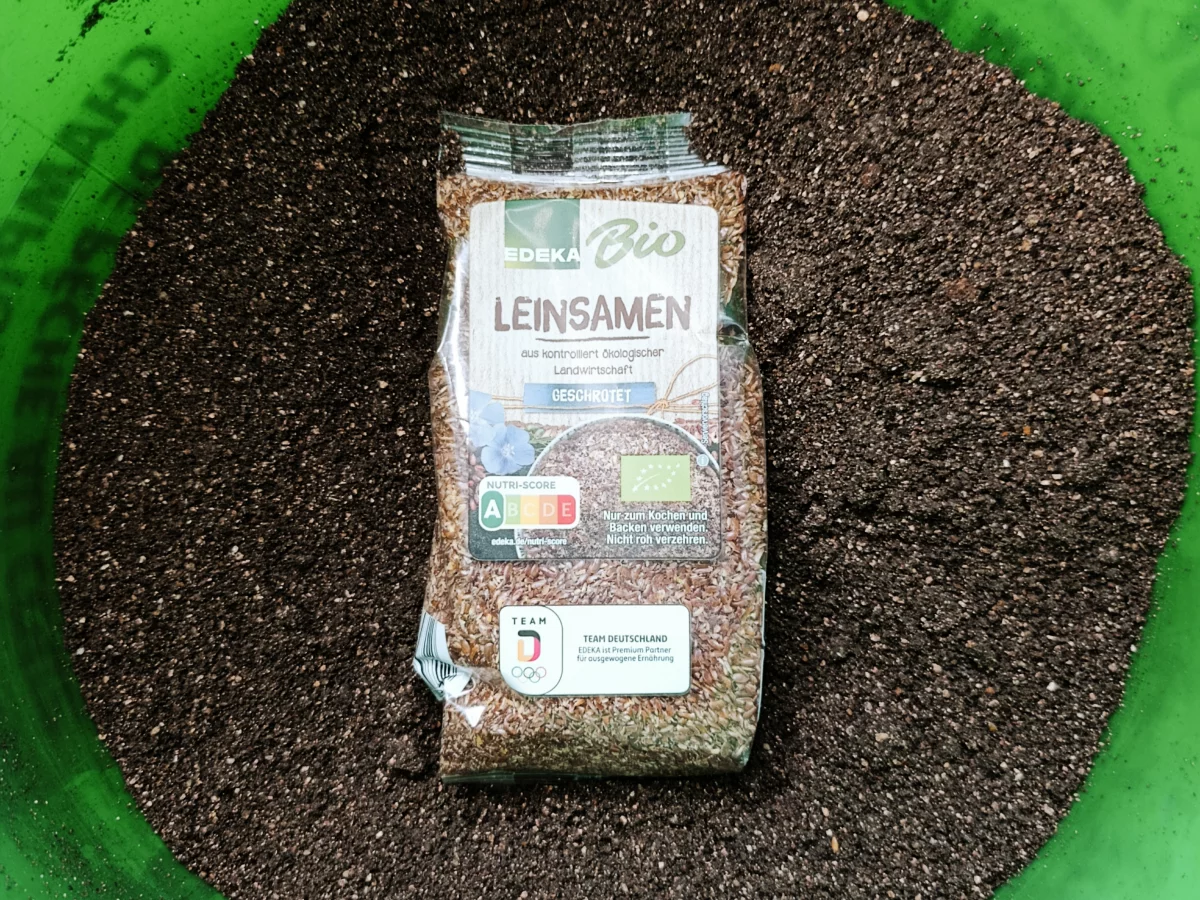 Angeln mit Leinsamen im Futter