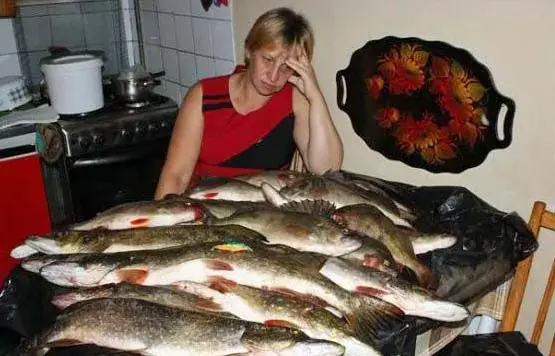 Lustige Angelbilder: Frau muss viele Fische ausnehmen