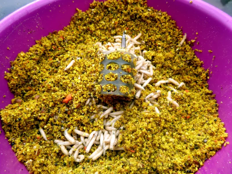 Cage Feeder aus Plastik in einer Schale mit Maden