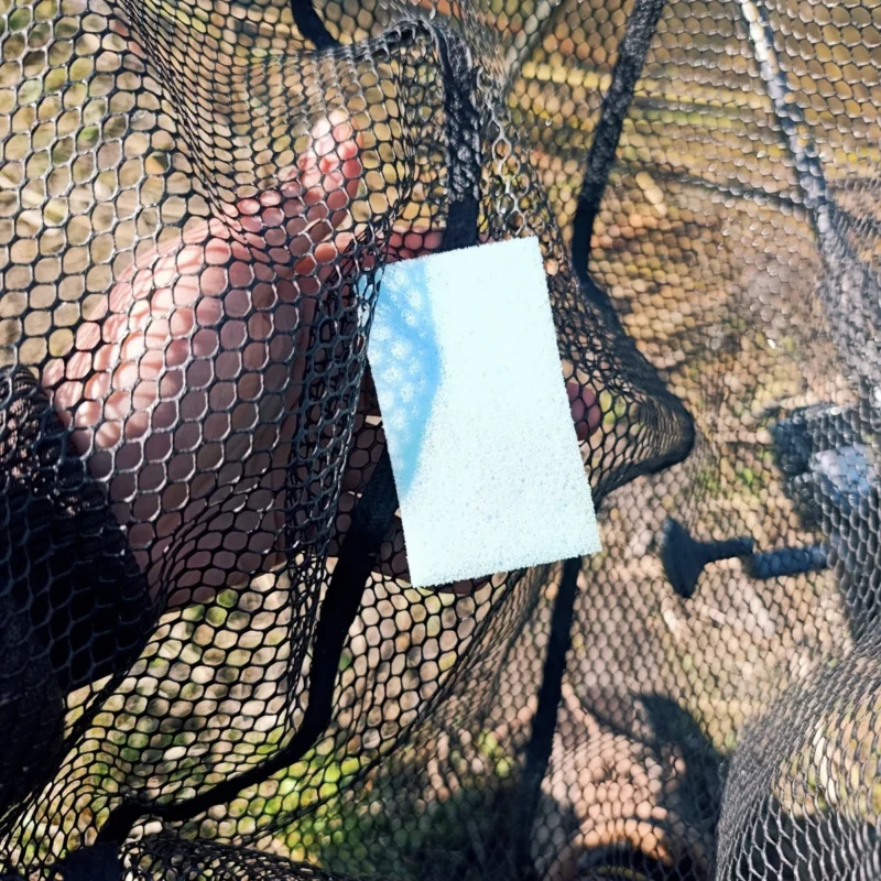 Schwamm zwischen gummierten Keschermaschen