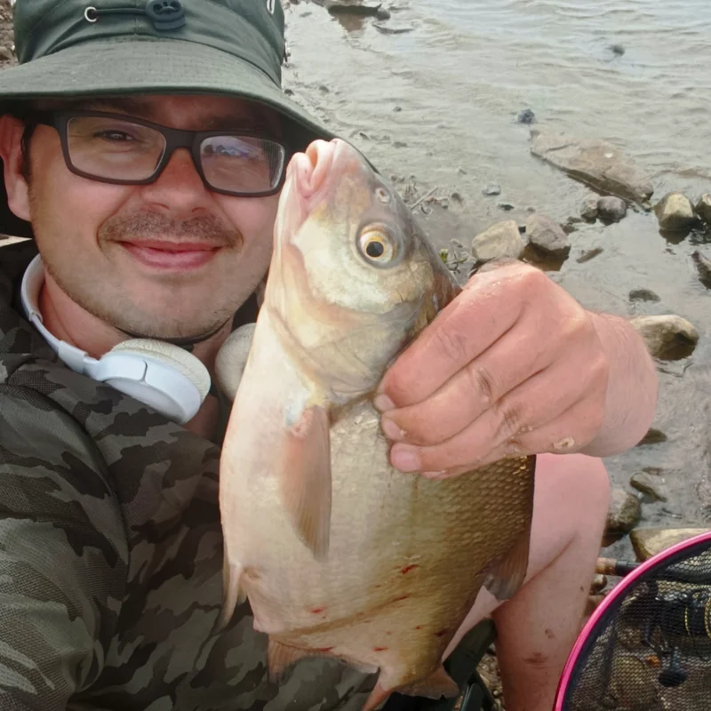 erste gefangene Brasse beim Method Feedern im Flachwasser an der Elbe