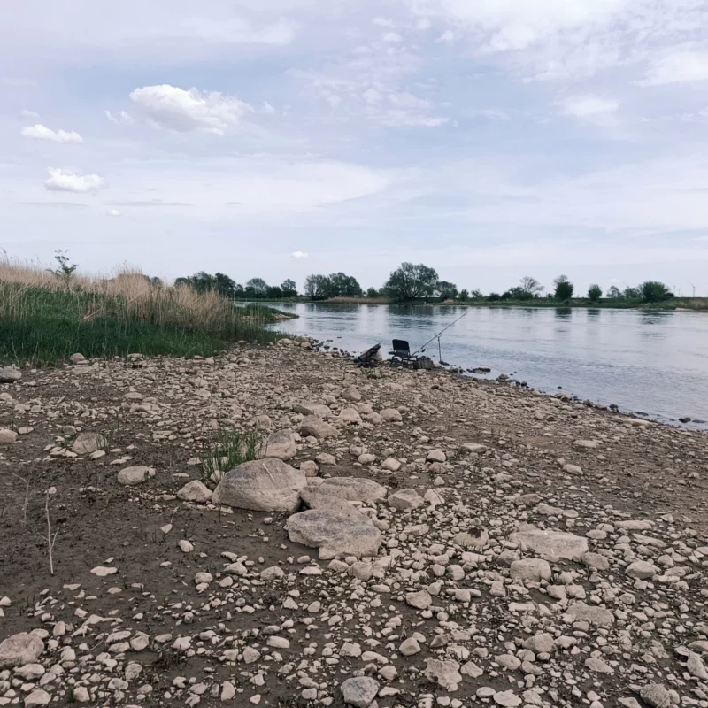 flaches und steiniges Buhnenfeld an der Elbe