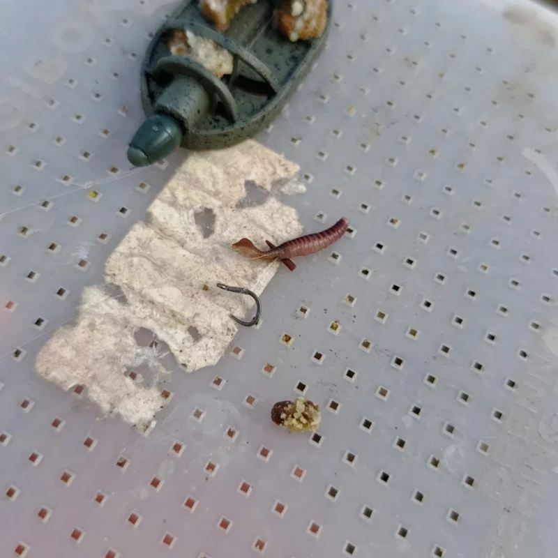Method Feeder Vorfach mit Wurm für die Elbe