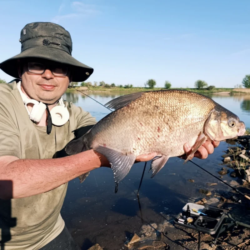 Brasse Nummer drei beim Method Feedern an der Elbe am ersten Mai