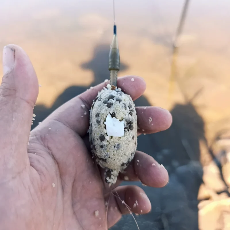 Ei am Quick Stop auf einem Method Feeder mit Futter und Pellets