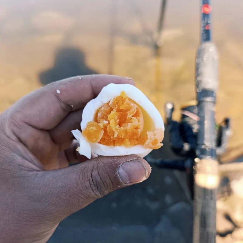 Ei als Snack zwischendurch beim Angeln