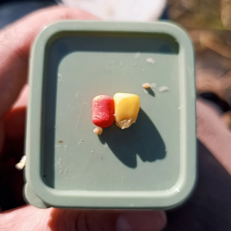 6mm Wafter und kleines Maiskorn