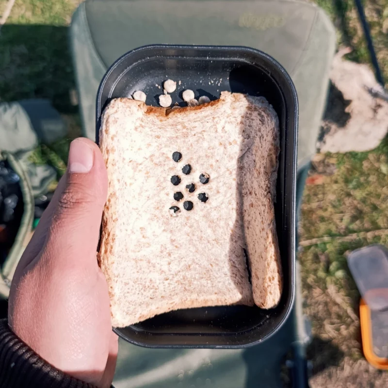 ausgestanztes Weißbrot in einer Köderdose