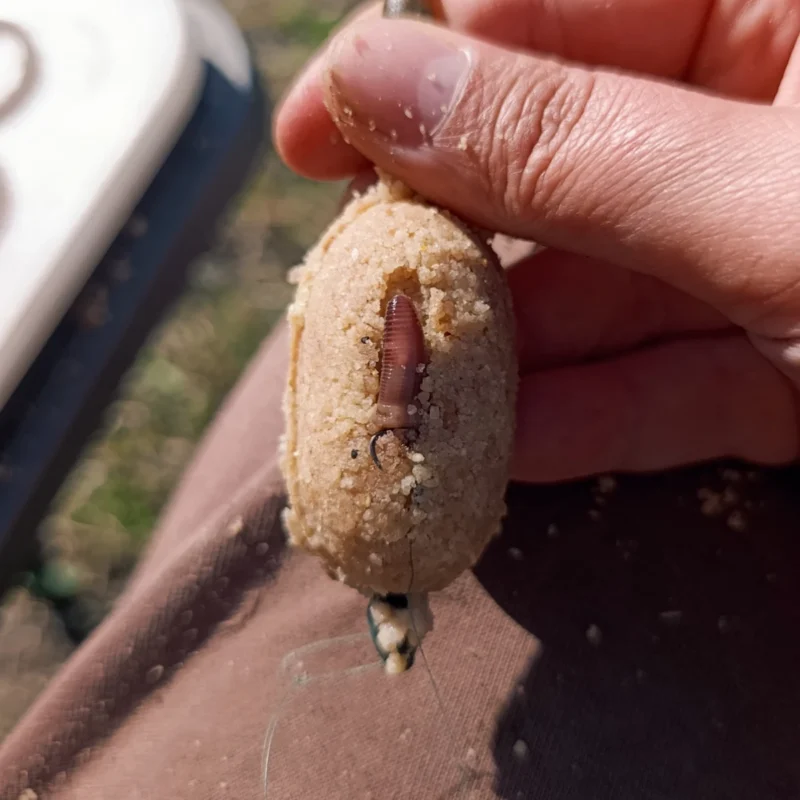 Wurmstück am Method Feeder