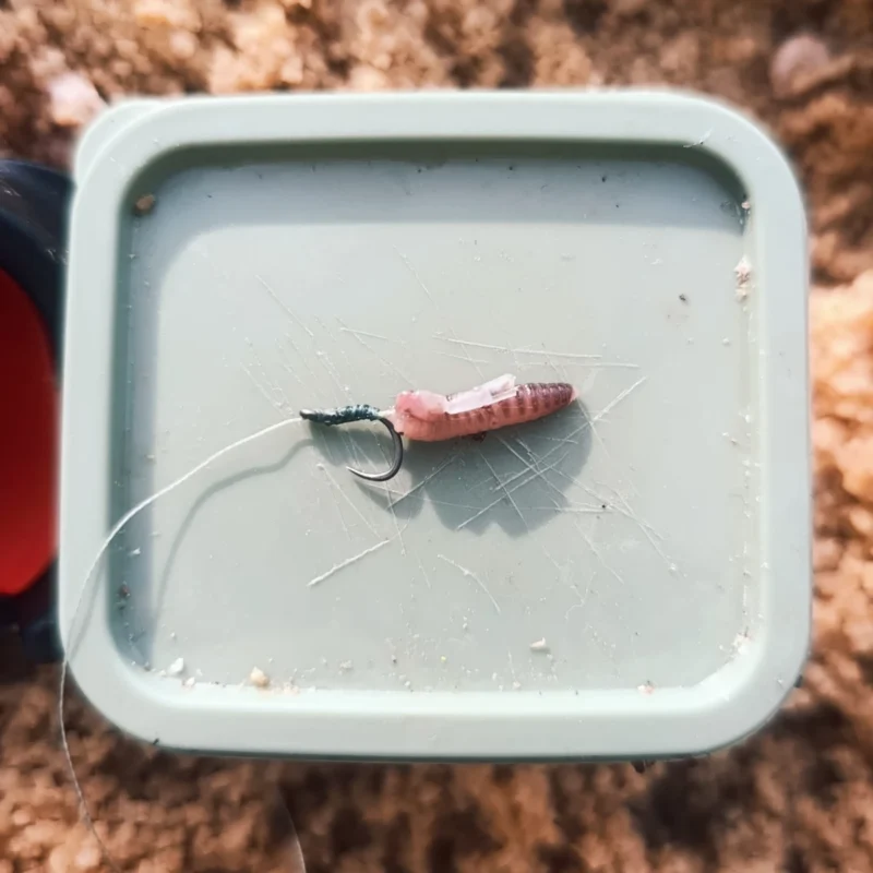 Method Feedern Köder im Frühjahr: Wurmstück am Quick Stop