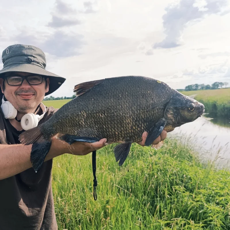 kapitale schwarze Brasse aus dem kleinen Fluss