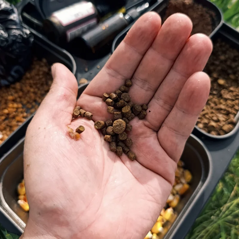 Pellets für die Handfütterung am kleinen Fluss