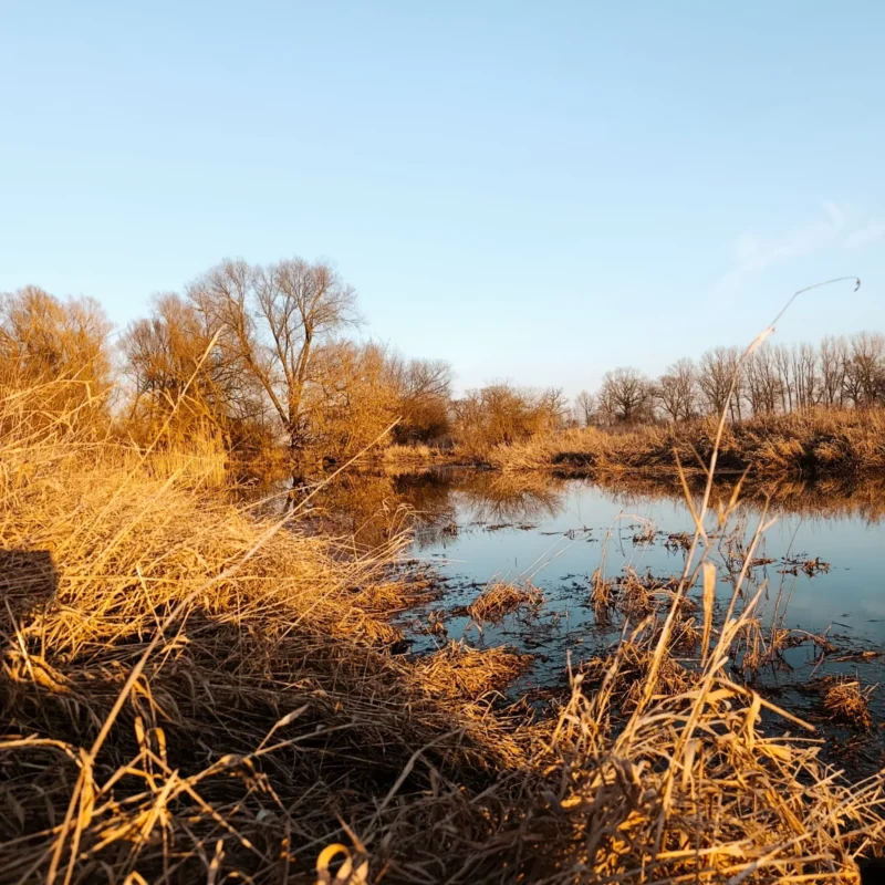 der kleine Fluss im März bei Hochwasser im Sonnenschein