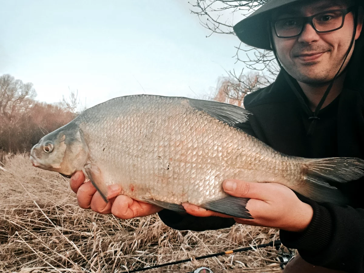 Method Feedern im März
