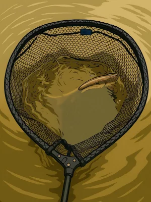 Gummierter Kescherkopf von Mikado