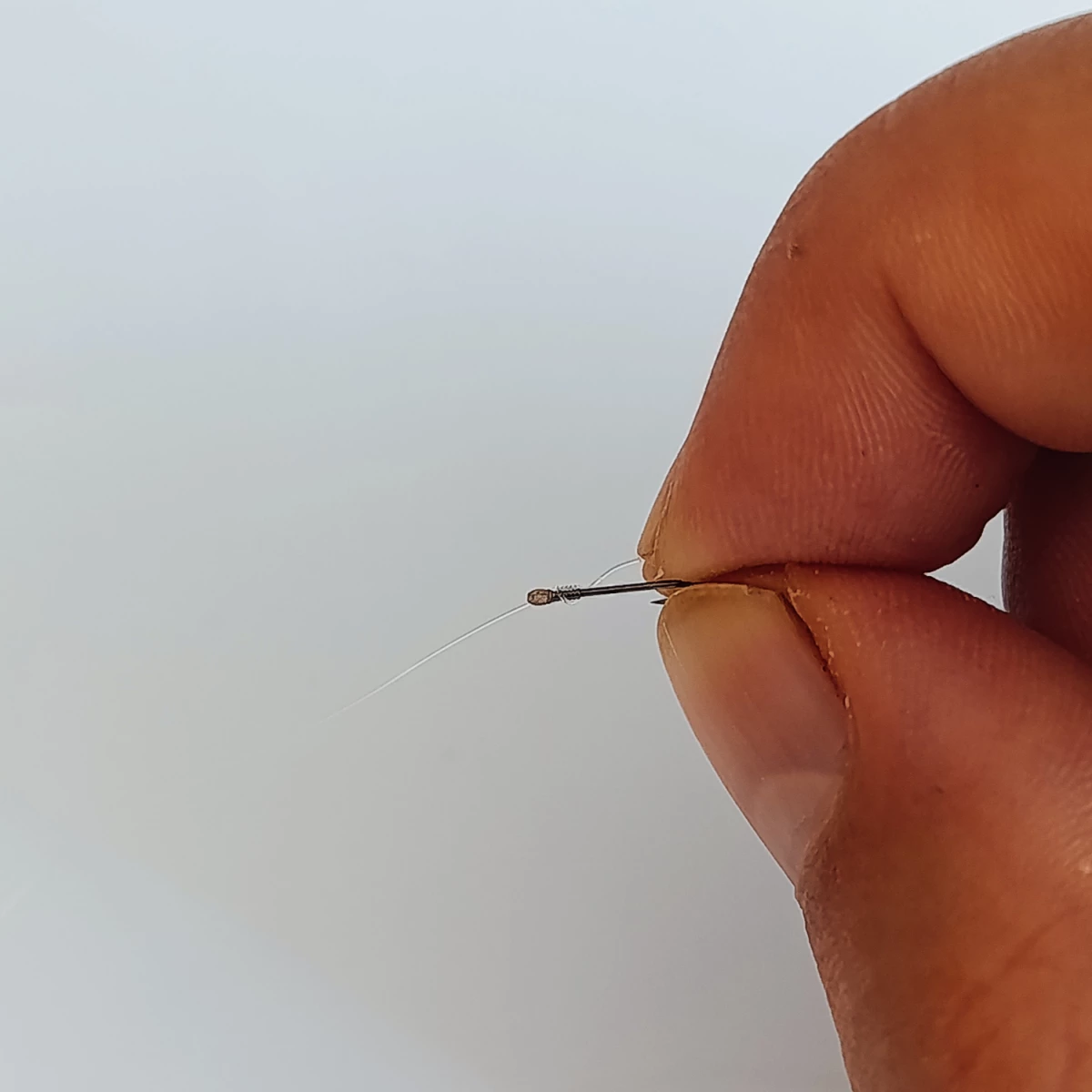 Mikado Sensual Super Pole Plättchenknoten Test an der Hakengröße 10 mit 0.17mm Vorfachschnur