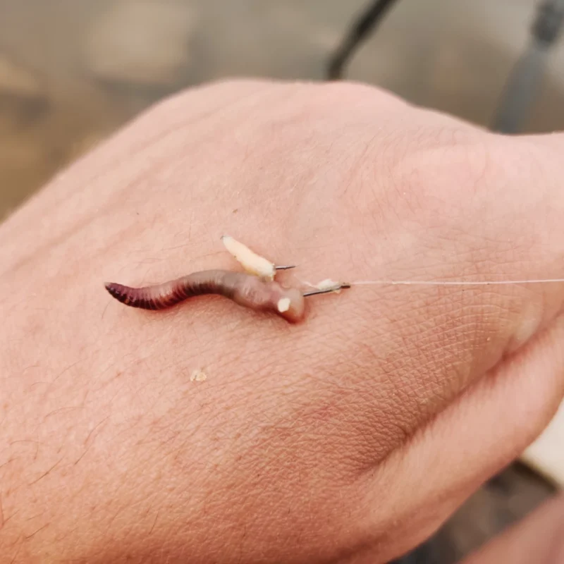 Mikado Sensual Super Pole mit Wurm Made Kombi