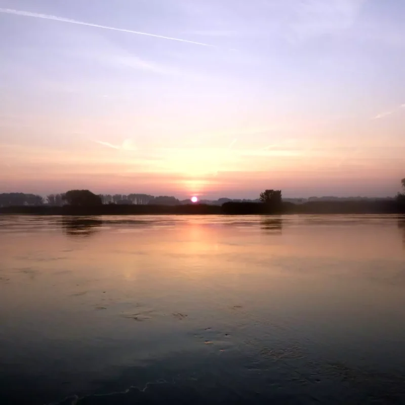 Morgens Angeln