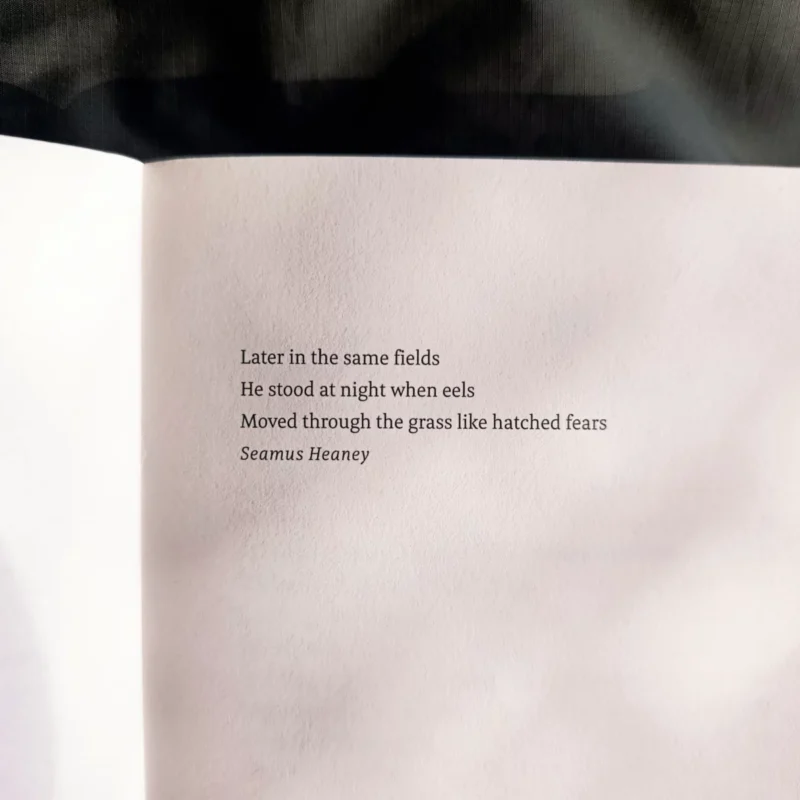 Zitat in Evangelium der Aale auf der ersten Buchseite