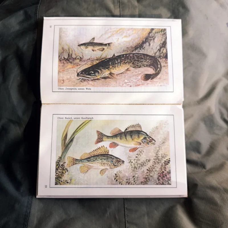 Wolfgang Zeiske: Fischkunde für Angler Bilder in Buchseite