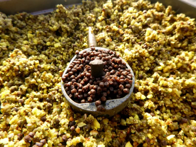 Pellet als Köder am Hybrid Feeder