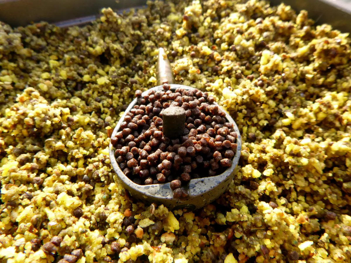Pellet als Köder am Hybrid Feeder