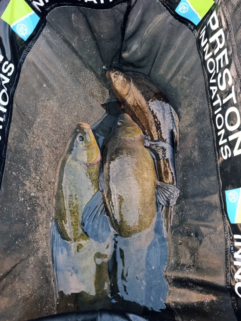 Preston Weigh Net im Test mit Schleien