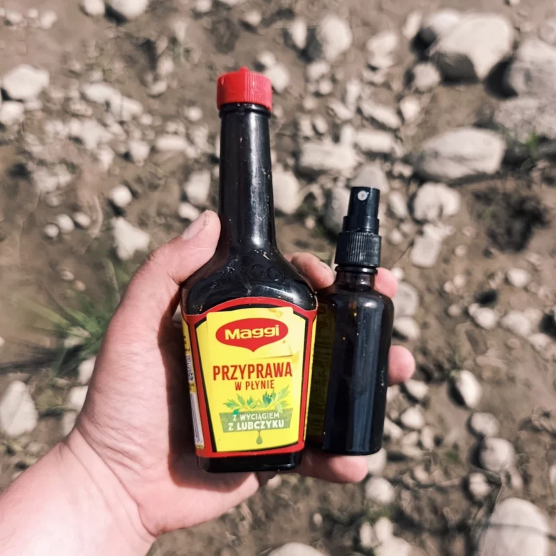 Maggi und ein Bestäuber in den Händen eines Anglers