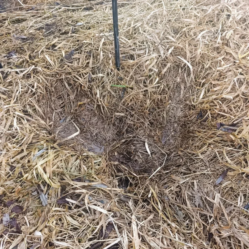 durchgeweichte Trittstelle am weichen Flussufer