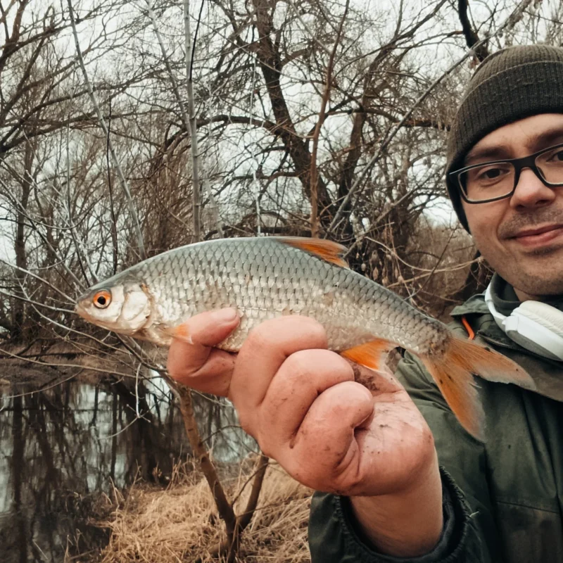 großes Rotauge gefangen im Februar