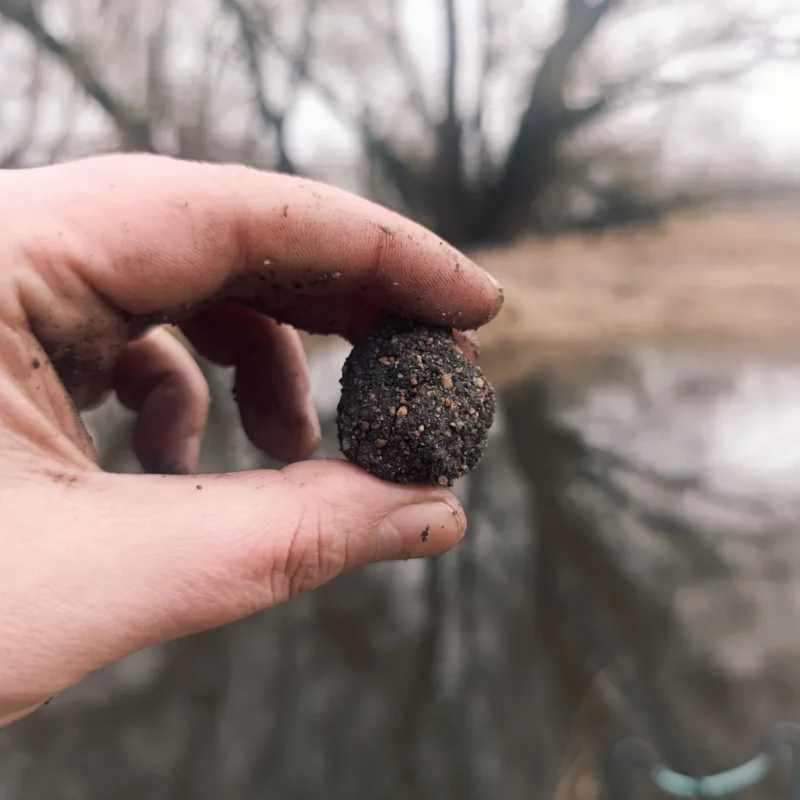 Anfüttern mit walnußgroßem Futterball