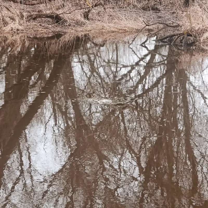 Treibgut in der Kleinflussströmung